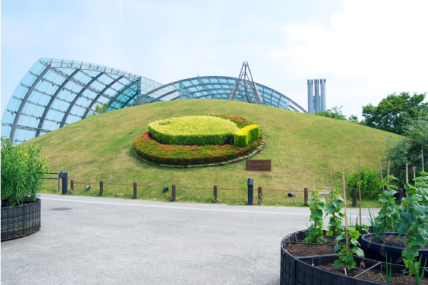 アクアマリン画像